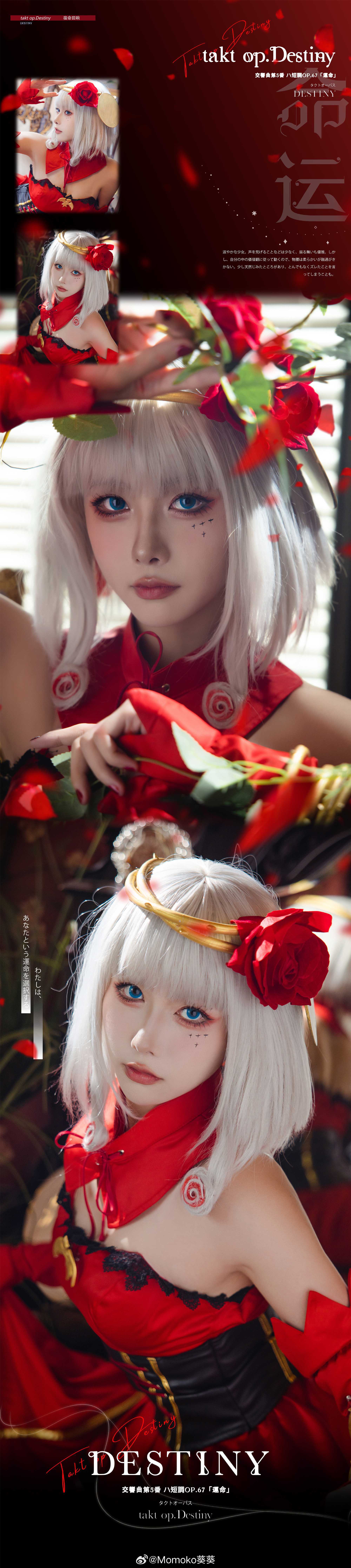 DESTINY.宿命回响@Momoko葵葵