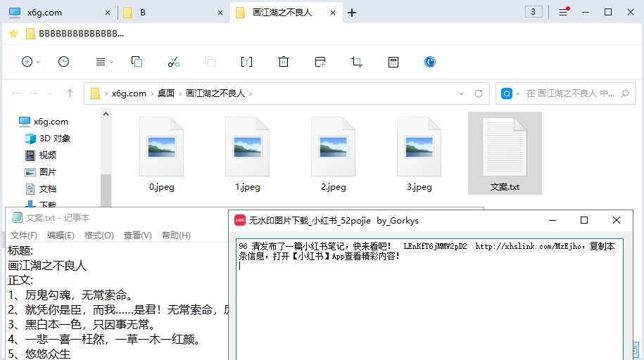 小红书批量去水印下载原图v1.4