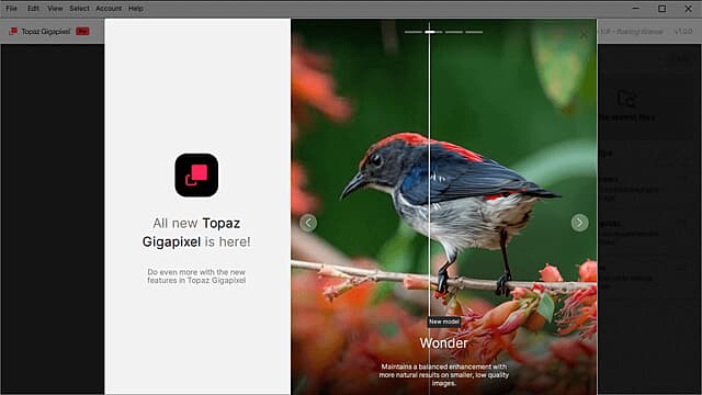 Topaz Gigapixel(图像超分辨率软件) Pro v1.0.1 破解版