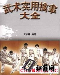 [武术实用擒拿大全].安在峰.pdf  擒拿是武术踢、打、摔、拿四大技法之一