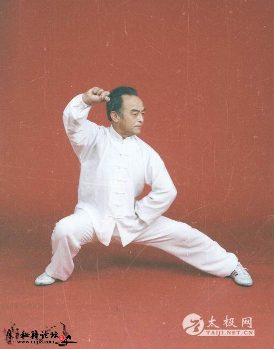 陈式秘传太极拳内功丹田内转论