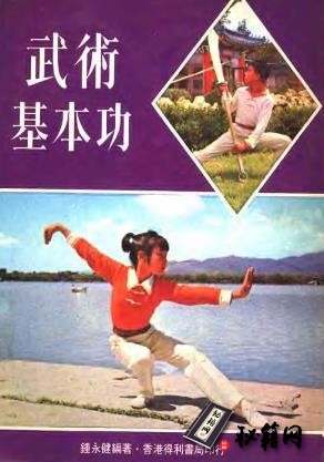 [武功秘籍]武术基本功(钟永健).pdf