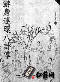 [武功秘籍]游身八卦連環掌-杜召棠.pdf