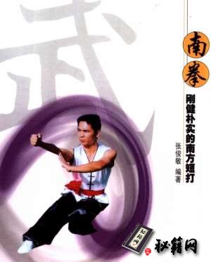 [武功秘籍]青少年武术入门丛书–南拳.pdf