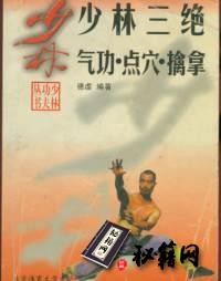 [武功秘籍]《少林三绝-少林气功、点穴、擒拿法》.德虔.扫描版.pdf