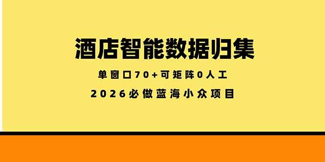 酒店智能数据归集，小众蓝海已经稳定半年之久，单窗口70+零成本矩阵开干