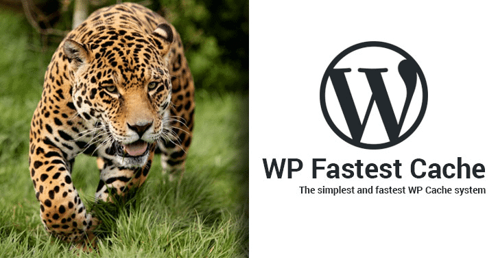 WordPress的网站提升速度及性能优化终极指南 WordPress的网站提升速度及性能优化终极指南