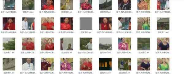 河南坠子大全视频_河南坠子戏全集mp3下载 河南坠子大全视频_河南坠子戏全集mp3下载
