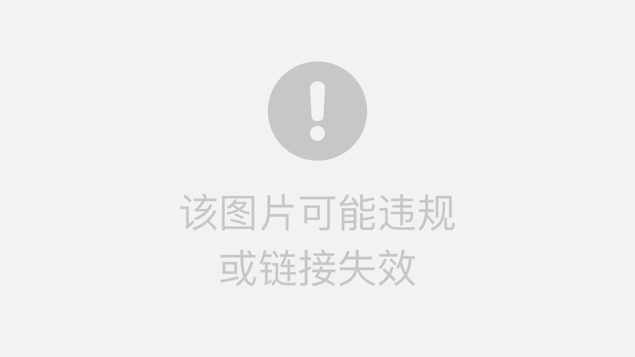 ripro打开加载慢和后台登录后转圈以及图标不显示的原因及解决方法