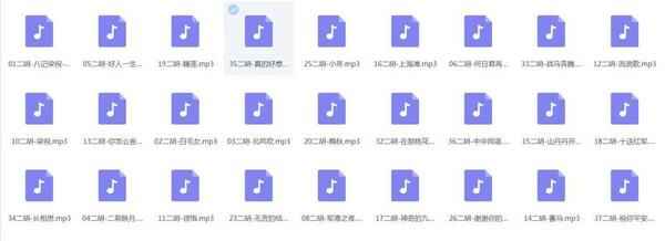 二胡音频打包欣赏,全套视频教程学习资料 二胡音频打包欣赏,全套视频教程学习资料